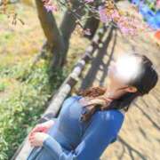 ヒメ日記 2026/04/03 20:39 投稿 沙知【さち】 輝女