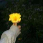 ヒメ日記 2025/04/29 15:29 投稿 れおん One More 奥様　錦糸町店