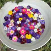 ヒメ日記 2025/07/15 23:48 投稿 かえで 乳首愛撫専門店「五反田シルキータッチ」