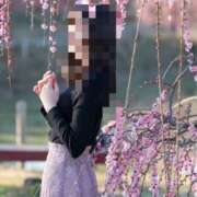 ヒメ日記 2025/05/09 21:14 投稿 ふう　40分12000円 回春性感メンズエステ猫の手 尾張一宮