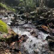 ヒメ日記 2025/11/01 08:33 投稿 ふう　40分12000円 回春性感メンズエステ猫の手 尾張一宮