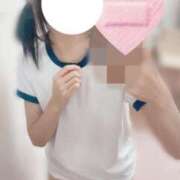 ヒメ日記 2025/01/23 07:17 投稿 ひな いざ候 本館