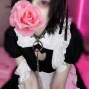 ヒメ日記 2025/01/29 14:59 投稿 ひな いざ候 本館