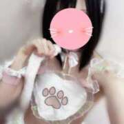 ヒメ日記 2025/02/13 22:37 投稿 ひな いざ候 本館