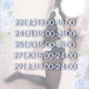 ヒメ日記 2025/03/21 14:57 投稿 ひな いざ候 本館