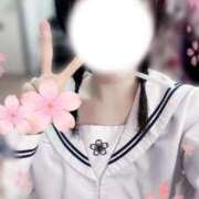 ヒメ日記 2025/04/10 15:08 投稿 ひな いざ候 本館