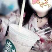 ヒメ日記 2025/04/11 17:27 投稿 ひな いざ候 本館