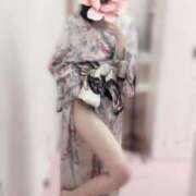 ヒメ日記 2025/05/03 15:27 投稿 ひな いざ候 本館