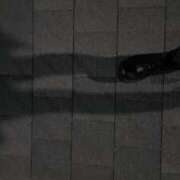 ヒメ日記 2025/06/03 02:27 投稿 ひな いざ候 本館