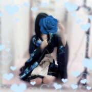 ヒメ日記 2025/06/08 12:17 投稿 ひな いざ候 本館