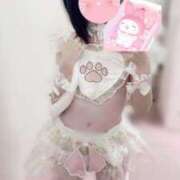 ヒメ日記 2025/06/15 07:27 投稿 ひな いざ候 本館