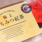 ヒメ日記 2025/06/30 02:47 投稿 ひな いざ候 本館