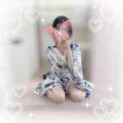 ヒメ日記 2025/07/19 12:28 投稿 ひな いざ候 本館