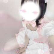 ヒメ日記 2025/07/24 18:57 投稿 ひな いざ候 本館