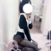 ヒメ日記 2025/07/28 11:57 投稿 ひな いざ候 本館