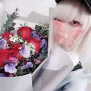 ヒメ日記 2025/08/01 11:57 投稿 ひな いざ候 本館