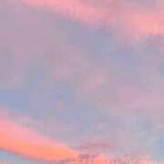 ヒメ日記 2025/10/12 15:57 投稿 ひな いざ候 本館