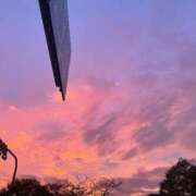 ヒメ日記 2025/11/05 17:57 投稿 ひな いざ候 本館