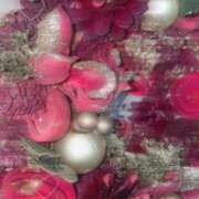 ヒメ日記 2025/11/20 16:07 投稿 ひな いざ候 本館