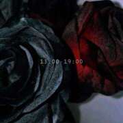 ヒメ日記 2025/11/24 12:57 投稿 ひな いざ候 本館