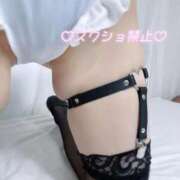 ヒメ日記 2025/12/03 12:17 投稿 ひな いざ候 本館