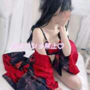 ヒメ日記 2025/12/03 12:57 投稿 ひな いざ候 本館