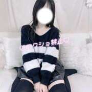 ヒメ日記 2025/12/06 13:58 投稿 ひな いざ候 本館