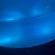 ヒメ日記 2025/12/14 09:17 投稿 ひな いざ候 本館