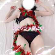 ヒメ日記 2025/12/20 08:31 投稿 ひな いざ候 本館