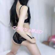 ヒメ日記 2025/12/27 12:17 投稿 ひな いざ候 本館