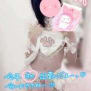 ヒメ日記 2026/01/01 16:07 投稿 ひな いざ候 本館