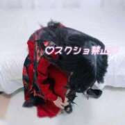 ヒメ日記 2026/01/02 15:47 投稿 ひな いざ候 本館