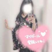 ヒメ日記 2026/01/02 17:27 投稿 ひな いざ候 本館