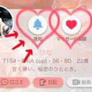 ヒメ日記 2026/01/07 17:22 投稿 ひな いざ候 本館