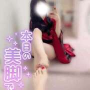 ヒメ日記 2026/01/08 18:17 投稿 ひな いざ候 本館