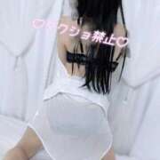 ヒメ日記 2026/01/14 15:28 投稿 ひな いざ候 本館