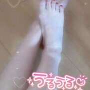 ヒメ日記 2026/01/15 11:57 投稿 ひな いざ候 本館