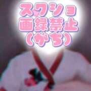 ヒメ日記 2026/01/21 16:47 投稿 ひな いざ候 本館