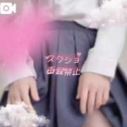 ヒメ日記 2026/01/21 18:31 投稿 ひな いざ候 本館