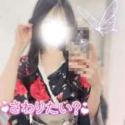 ヒメ日記 2026/01/22 00:02 投稿 ひな いざ候 本館