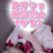 ヒメ日記 2026/01/22 16:57 投稿 ひな いざ候 本館