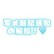 ヒメ日記 2026/01/23 09:32 投稿 ひな いざ候 本館