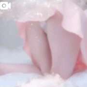 ヒメ日記 2026/01/25 19:17 投稿 ひな いざ候 本館