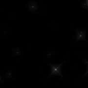 ヒメ日記 2026/02/02 11:17 投稿 ひな いざ候 本館