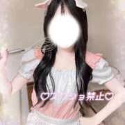 ヒメ日記 2026/02/17 15:30 投稿 ひな いざ候 本館