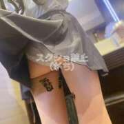 ヒメ日記 2026/02/19 23:17 投稿 ひな いざ候 本館