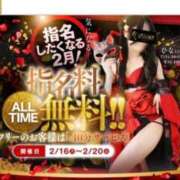 ヒメ日記 2026/02/20 07:37 投稿 ひな いざ候 本館