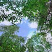 ヒメ日記 2026/02/22 13:47 投稿 ひな いざ候 本館