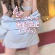 ヒメ日記 2026/02/25 20:17 投稿 ひな いざ候 本館