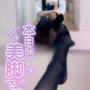 ヒメ日記 2026/02/26 12:57 投稿 ひな いざ候 本館